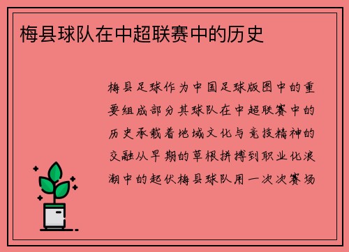 梅县球队在中超联赛中的历史
