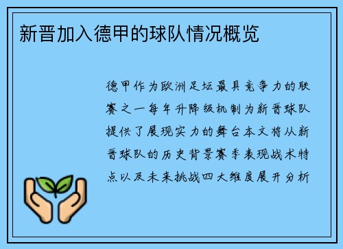 新晋加入德甲的球队情况概览
