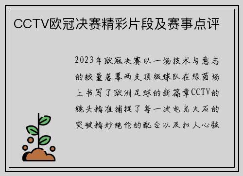 CCTV欧冠决赛精彩片段及赛事点评
