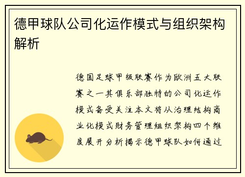 德甲球队公司化运作模式与组织架构解析