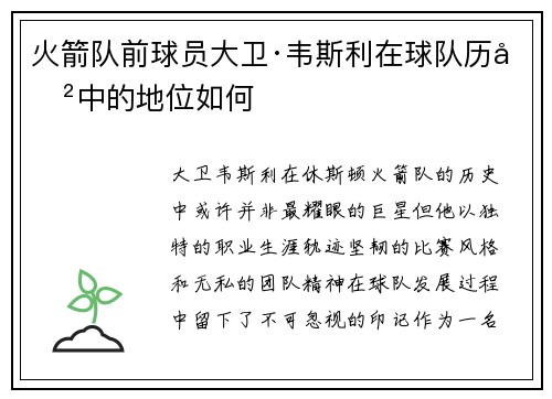 火箭队前球员大卫·韦斯利在球队历史中的地位如何